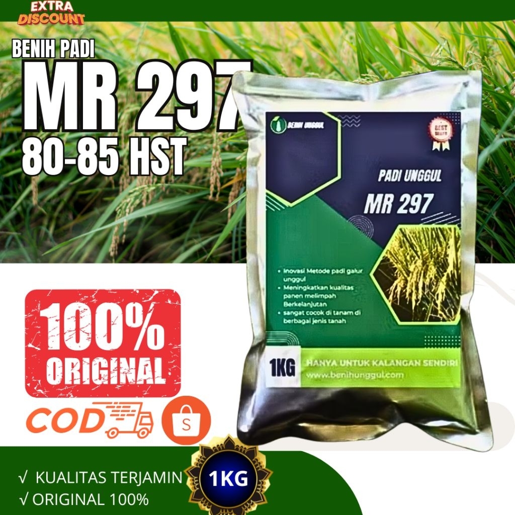 Benih padi mr 297 original benih padi mr 297 kemasan 1kg-5kg
