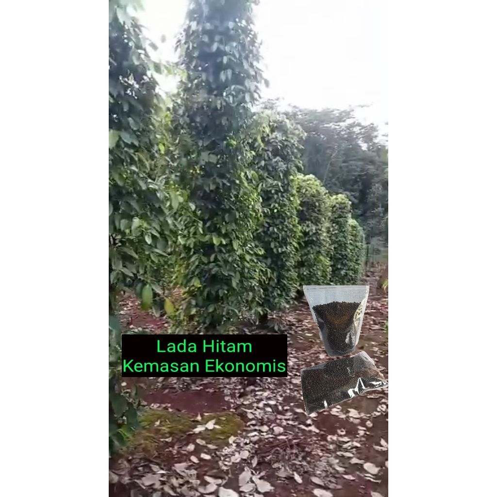 

lada hitam super 50g