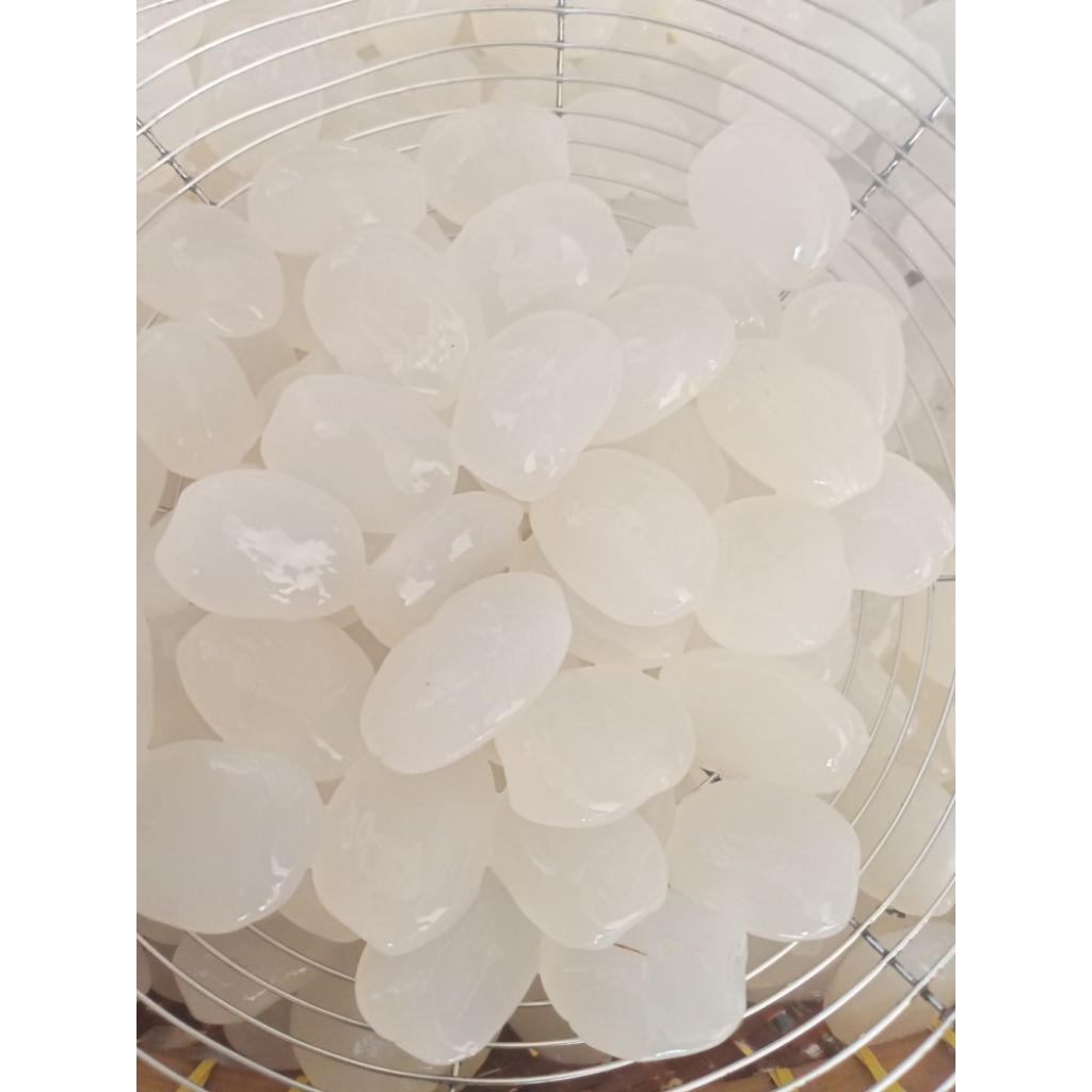 

Promo Kolang kaling mentah 1kg kolang kaling fresh/caruluk/cangkaleng