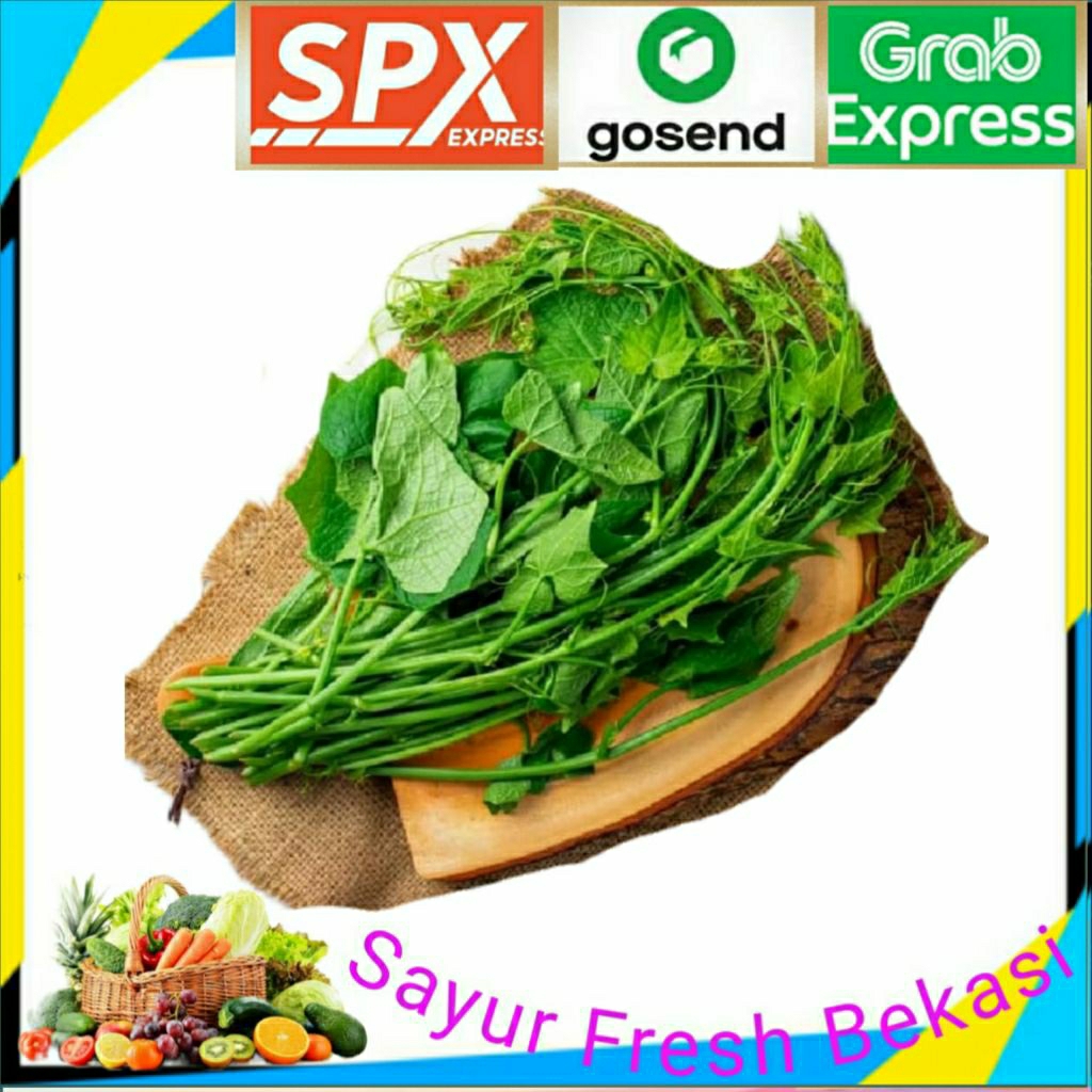 

Daun Labu/Daun Pucuk Labu ( 2 ikat ).