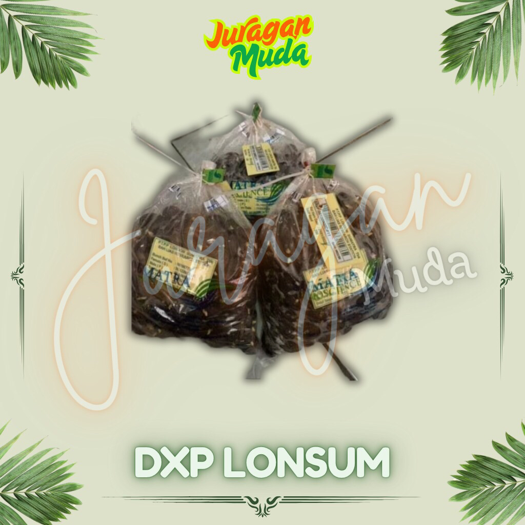 Benih Bibit Sawit Varietas DxP LONSUM bah lias 2 PELEPAH PENDEK Benih Unggul