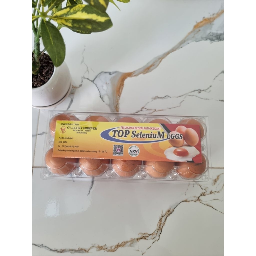 

telur ayam anti oksidant