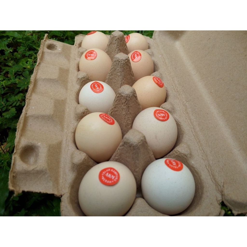 

Telur Ayam Kampung Merah (Omega)