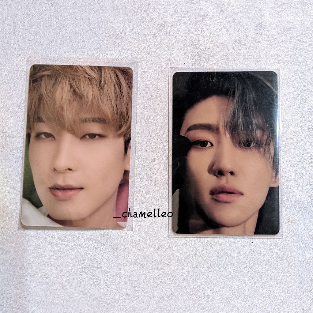 PHOTOCARD OFFICIAL SEVENTEEN DICON (wonwoo, the8)