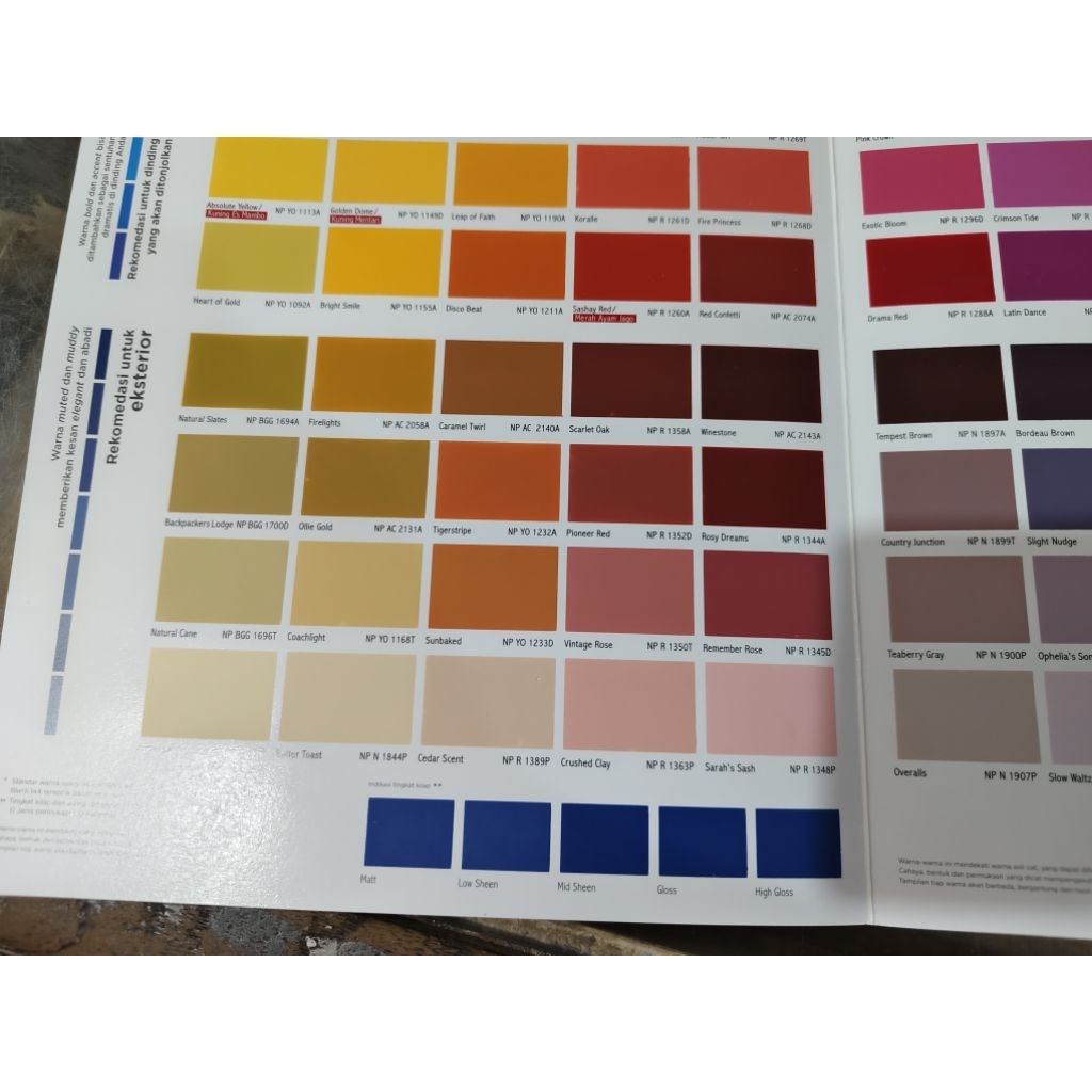 CAVA - VINILEX PRO 1000 4.5 KG (TINTING)