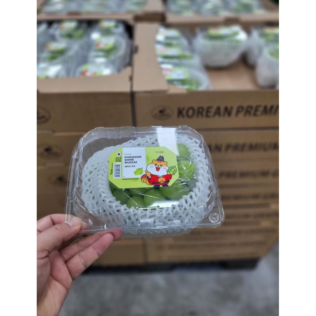 

anggur shiñe muscat korea berat 450 grm / pac