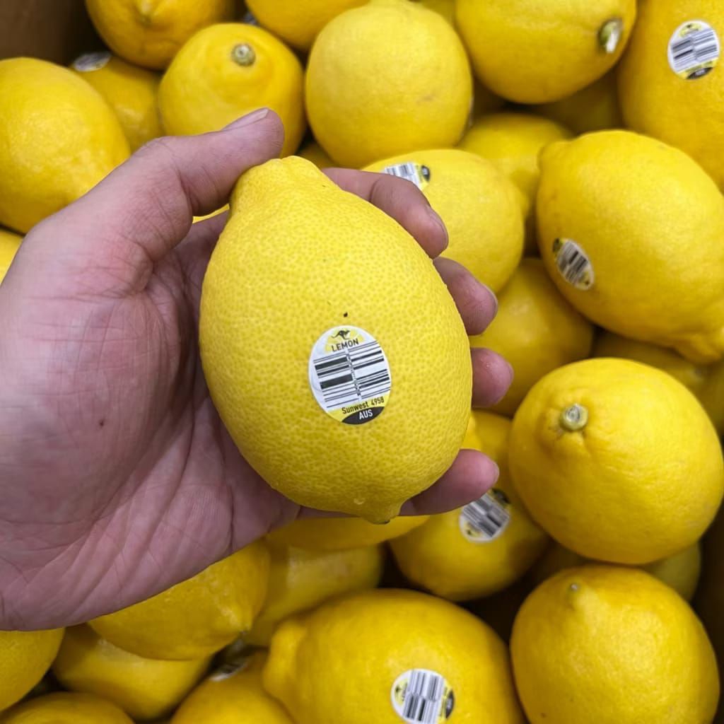 

lemon import premium