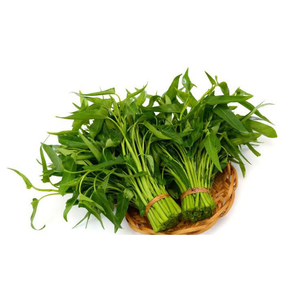 

Sayur Kangkung Segar / Kangkung 1 Ikat Murah Kangkung Pasar