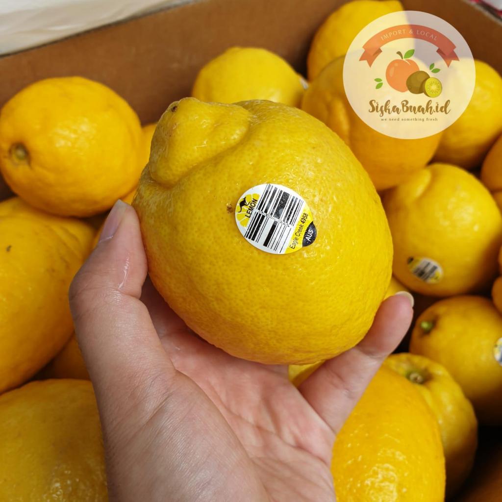 

LEMON IMPORT FRESH SEGAR | LEMON BANYAK AIR