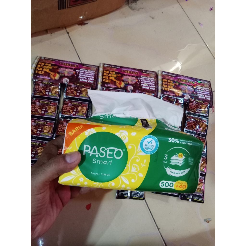 Tisu Paseo kotak