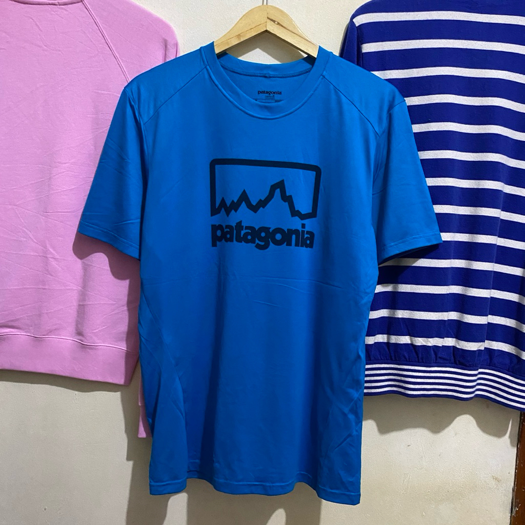 kaos patagonia capilene