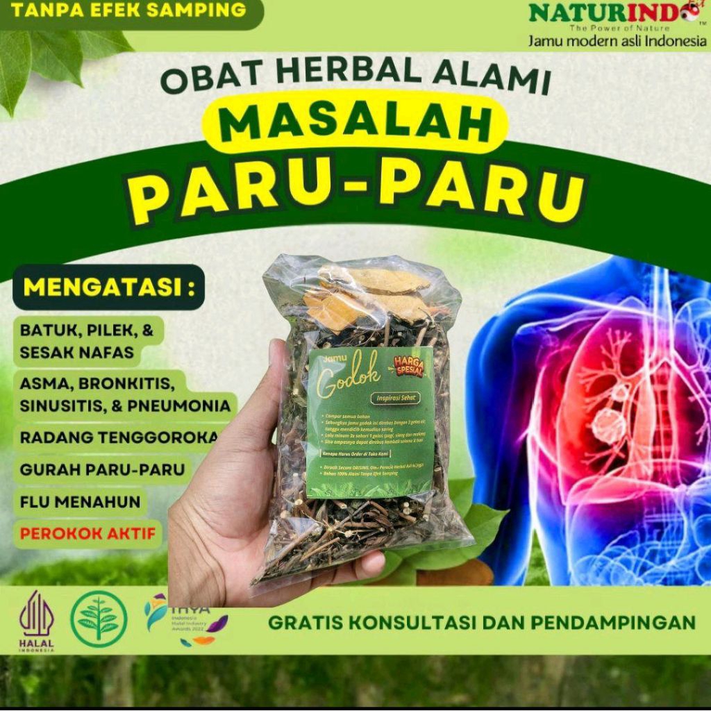 

paru-paru, jamu paru-paru