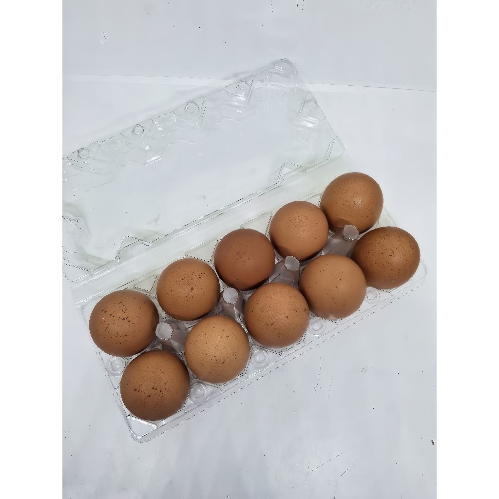 

Papap telur ayam omega 3 isi 10