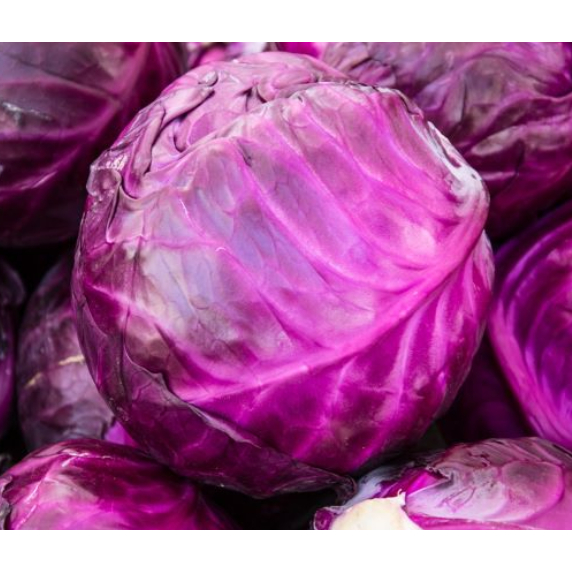 Kol Ungu 1Kg | JBP_Fresh