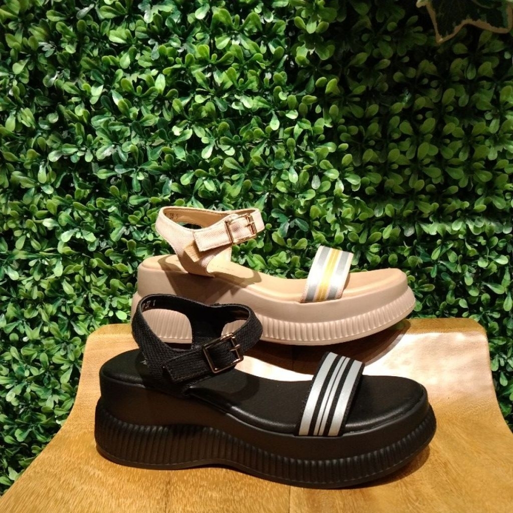 pollux bold KY20