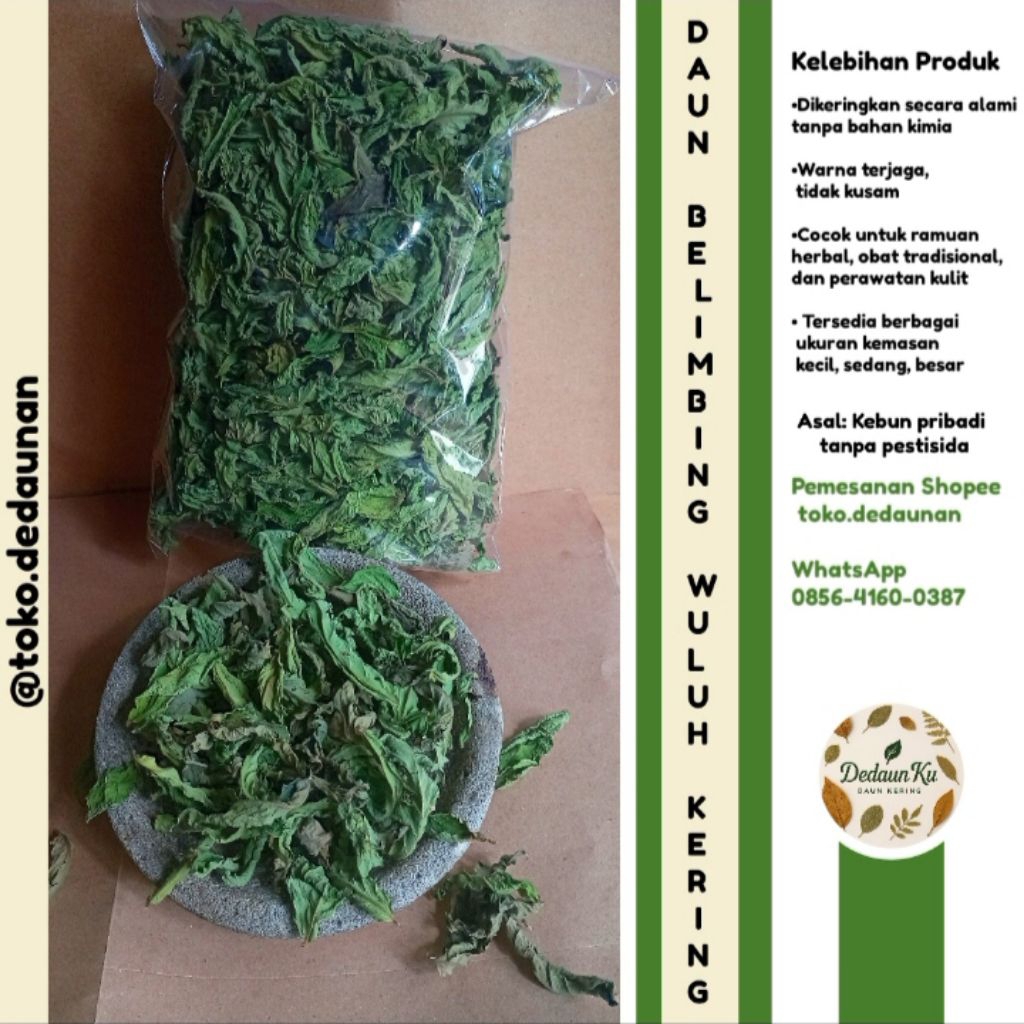 

Daun Belimbing Wuluh Kering Herbal Alami – Obat Tradisional / Siap Seduh