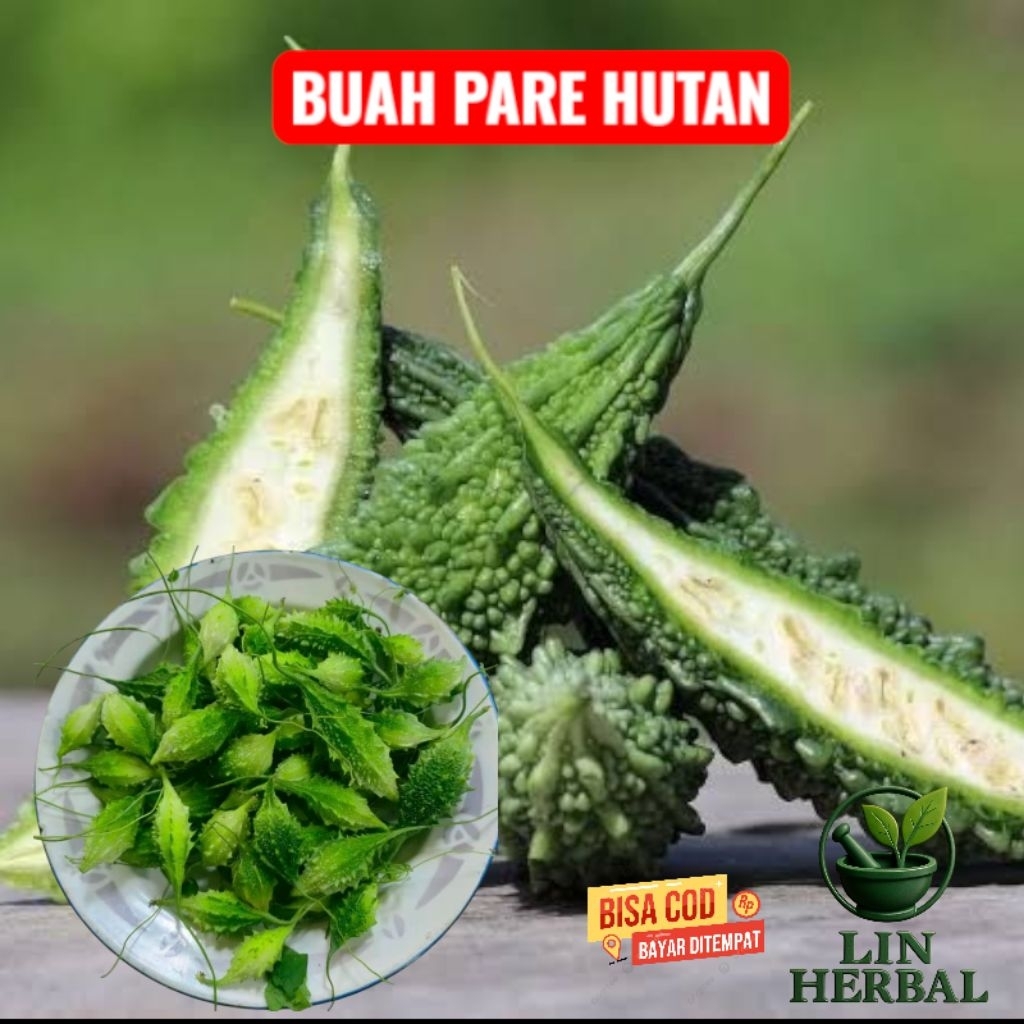 

Buah Pare Hutan Segar-Pare Gengge Atau Pare Papua Kemasan Hemat