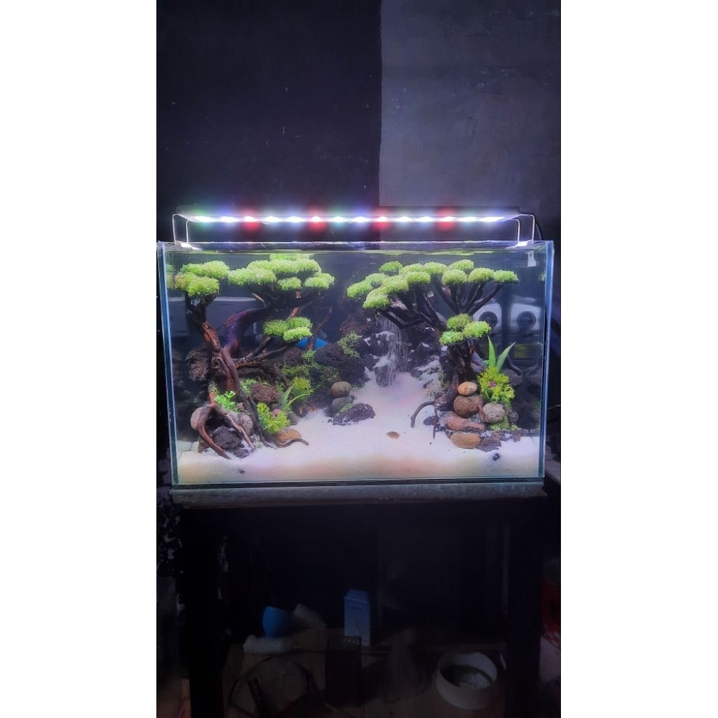 Aquascape Bonsai dengan Air terjun Fullset