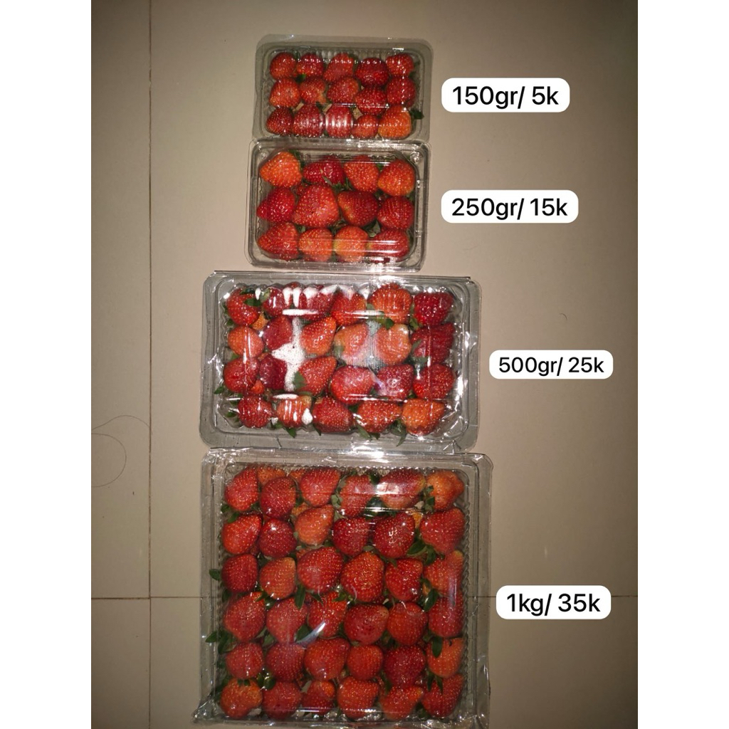 

strawberry stoberi ciwidey fresh murah asli bandung