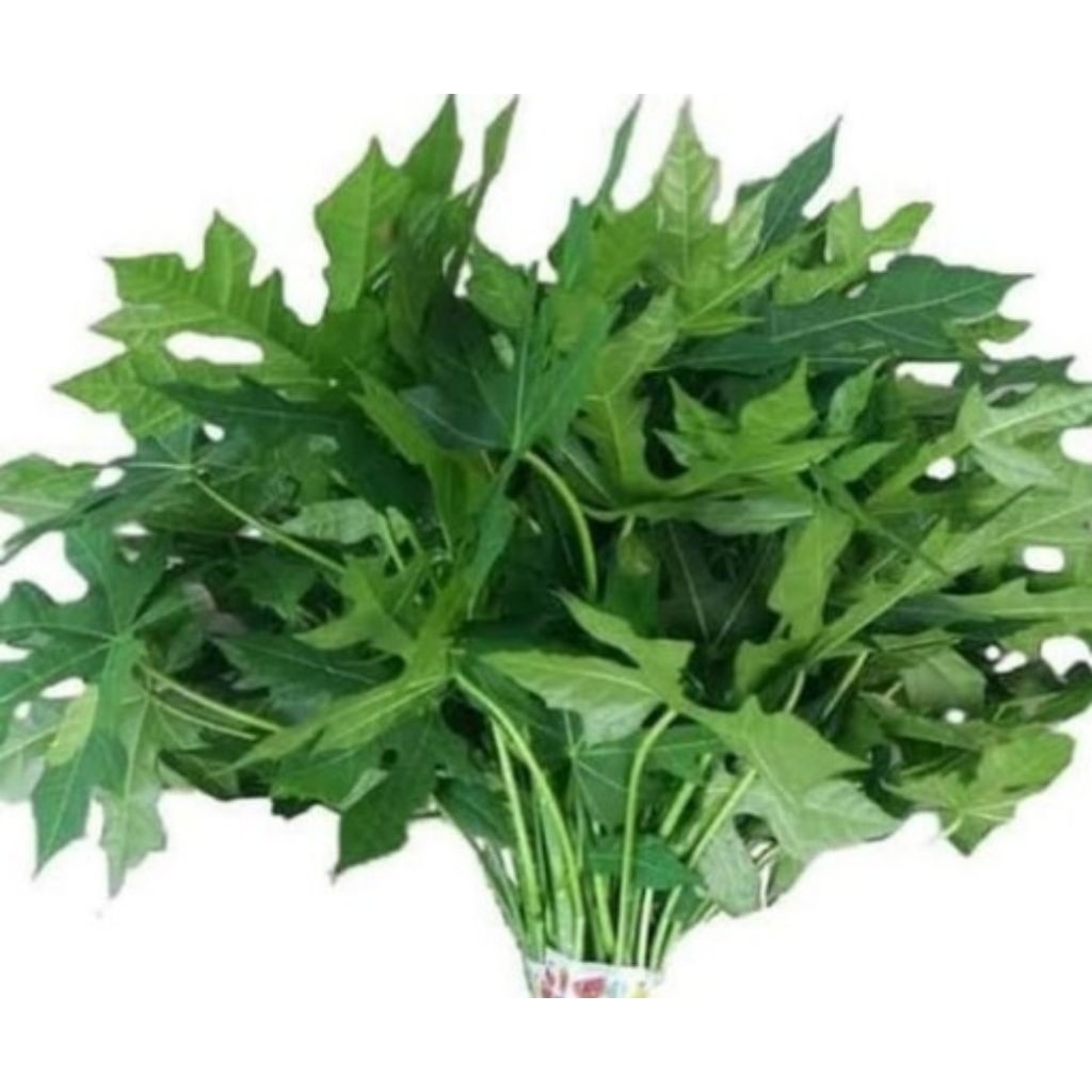 

Daun pepaya muda segar 500 gram
