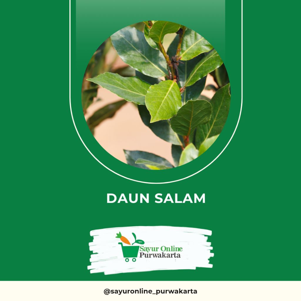 

Daun Salam - Sayur Online Purwakarta