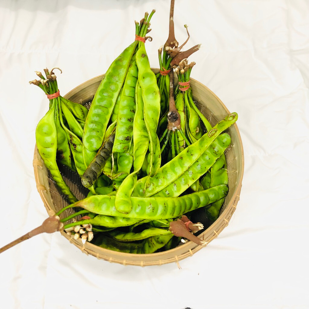 

PETE SORTIR 1 IKAT - PETE BS