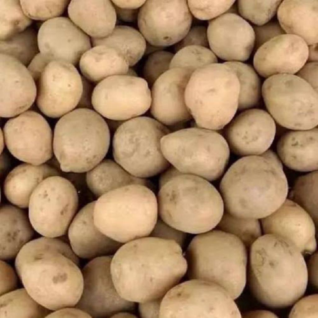 

PROMO Kentang SOMAY kentang DN 1kg