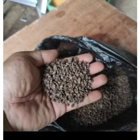 

Biji bunga Rosella merah 100gram
