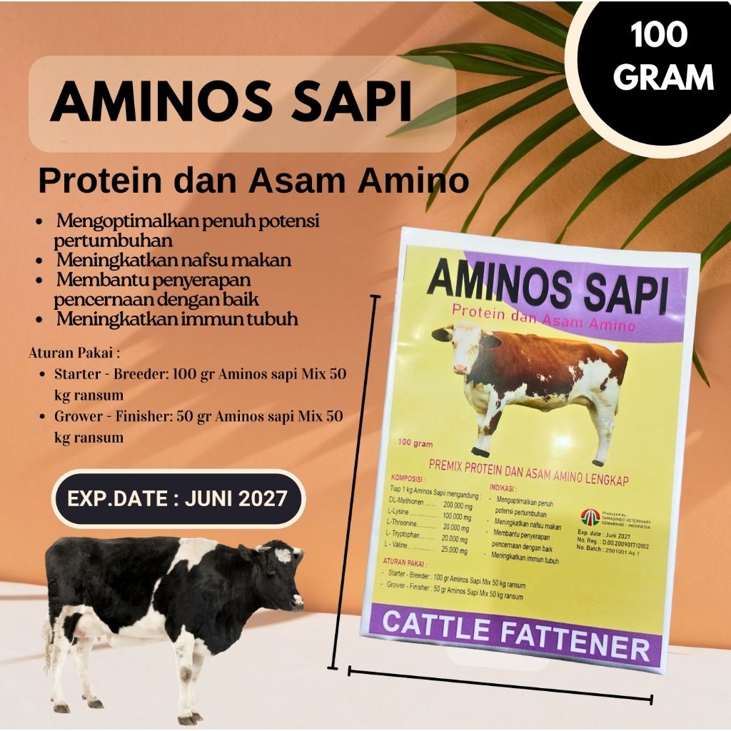 Aminos Sapi 100 gram Protein dan Asam Amino