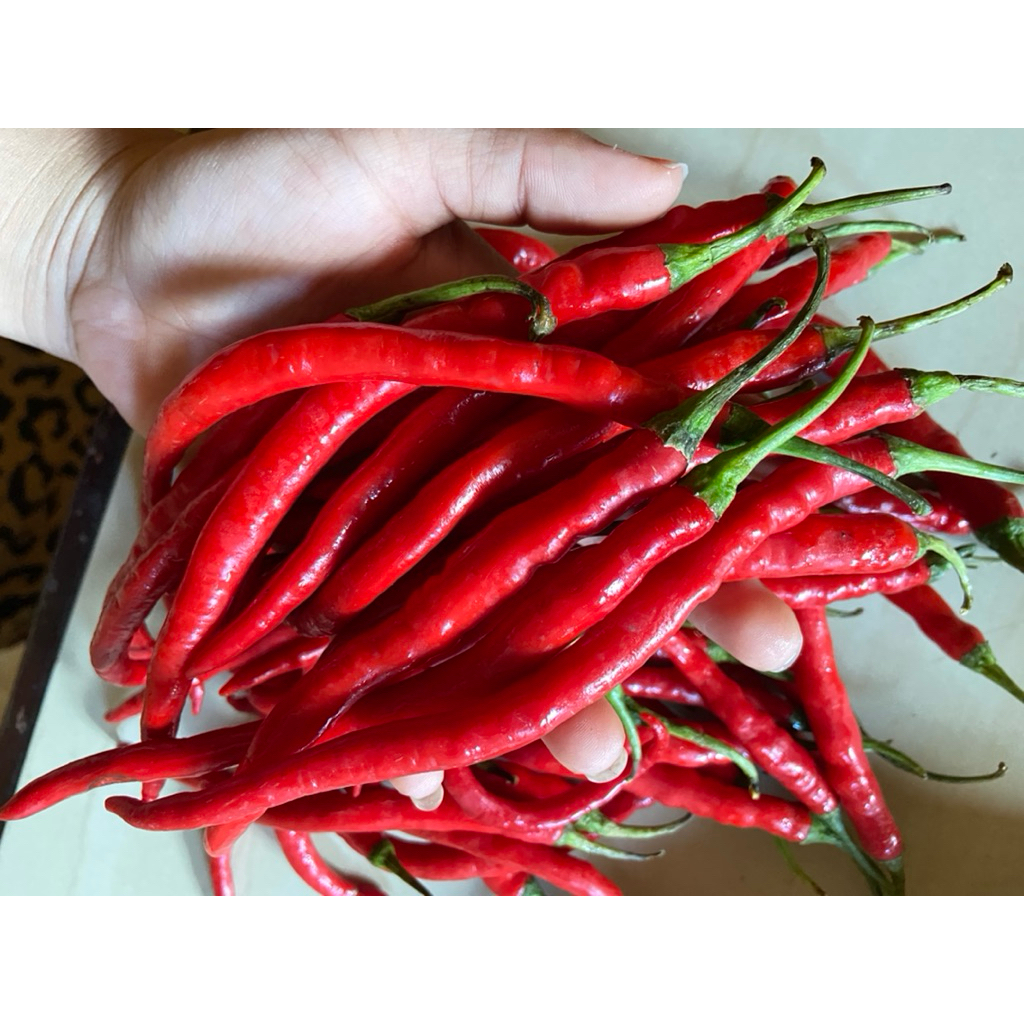 

cabe keriting imperial fresh berat 1kg