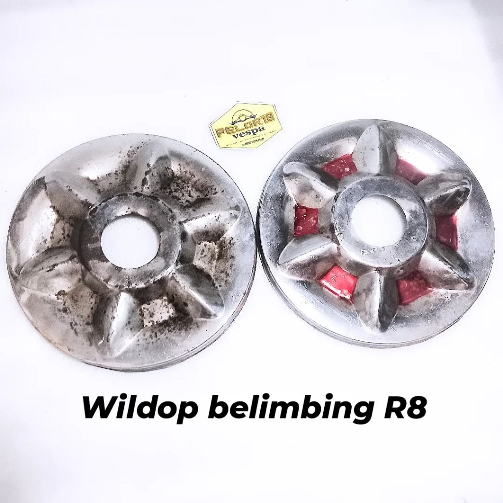 wildop vespa belimbing ring 8