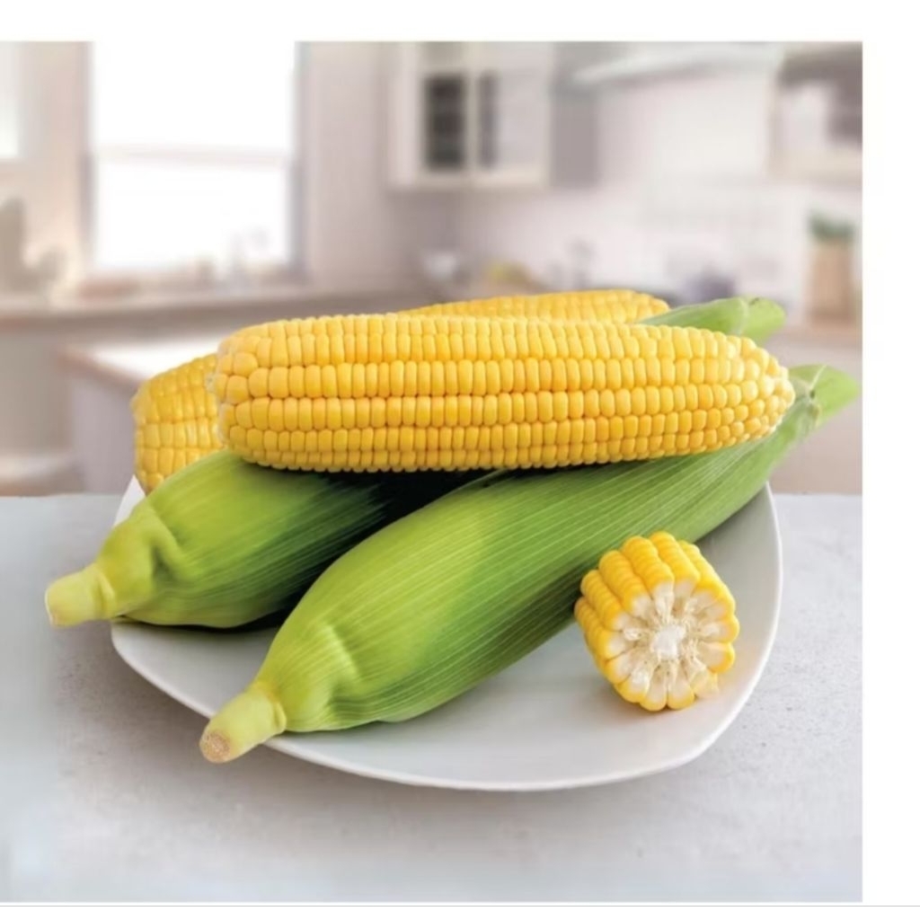 

jagung manis / jagung madu 1 pcs