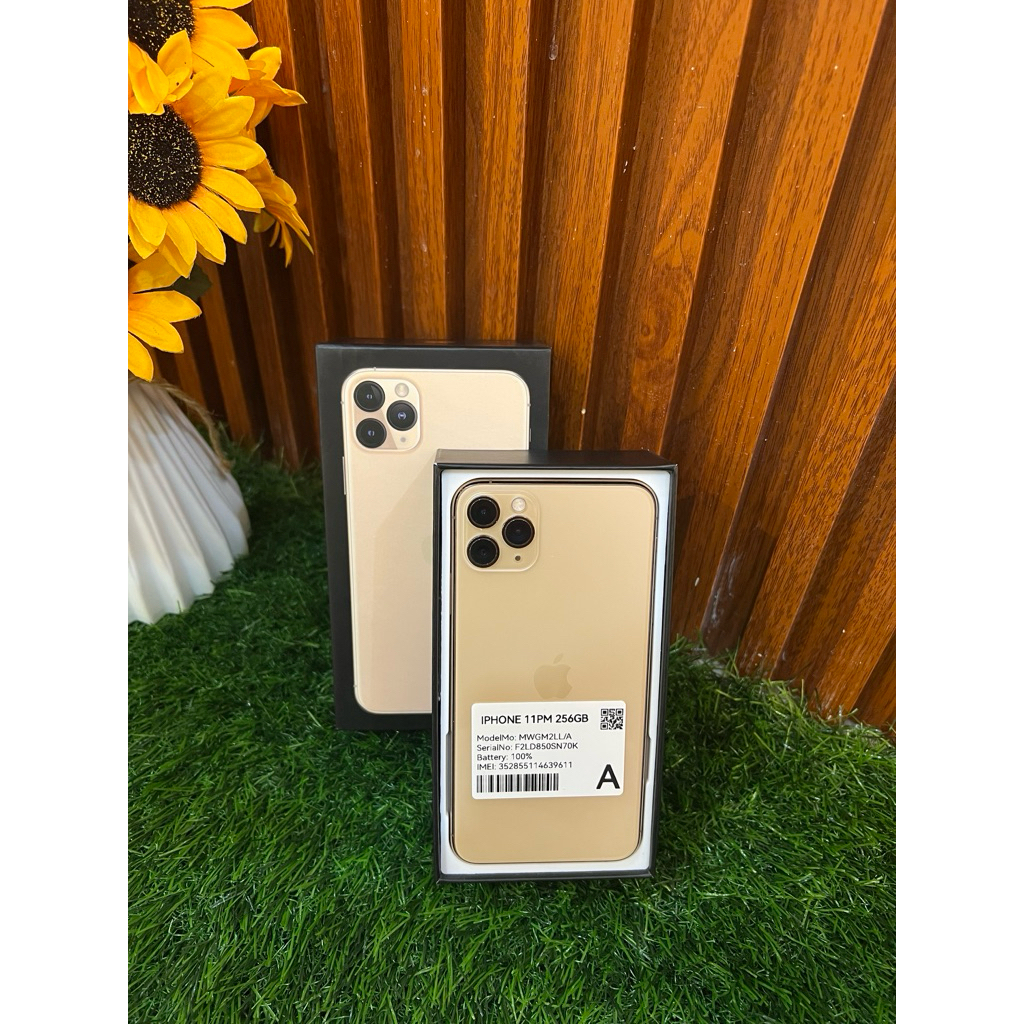 iphone 11 pro max 64 gb