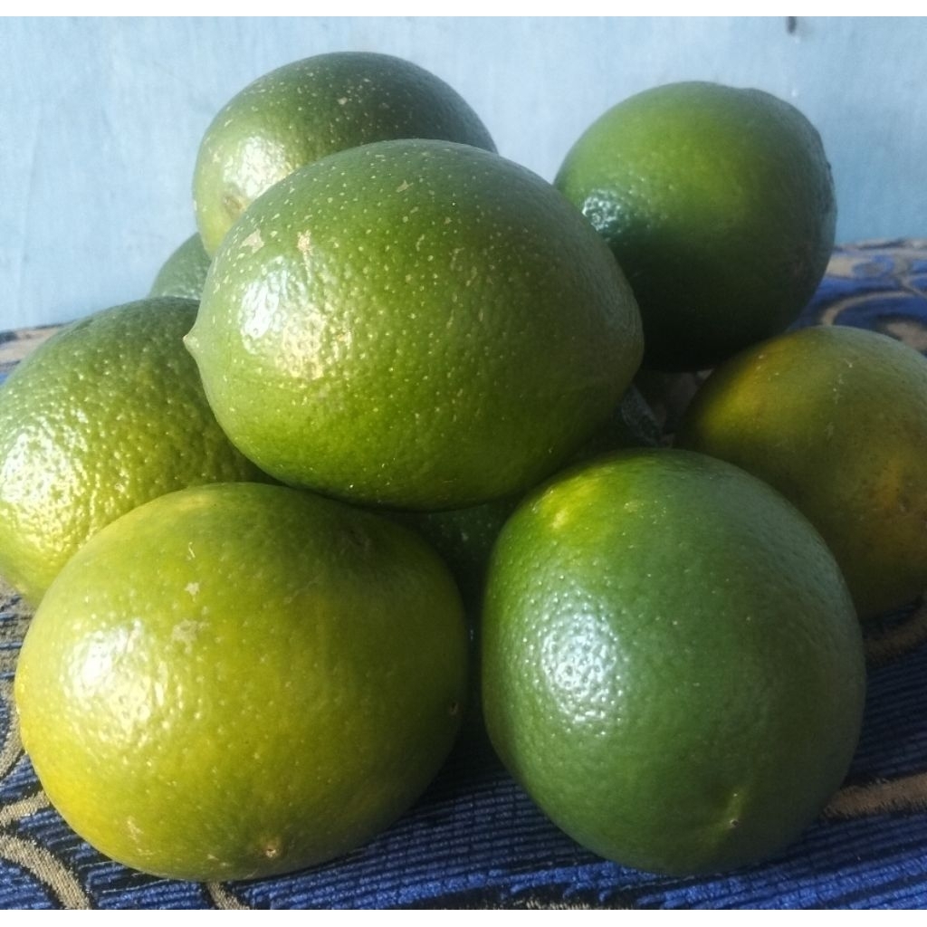 

Jeruk lemon California - Fresh Baru di Petik Bila ada Yang Pesan - 0,5 & 1 kg