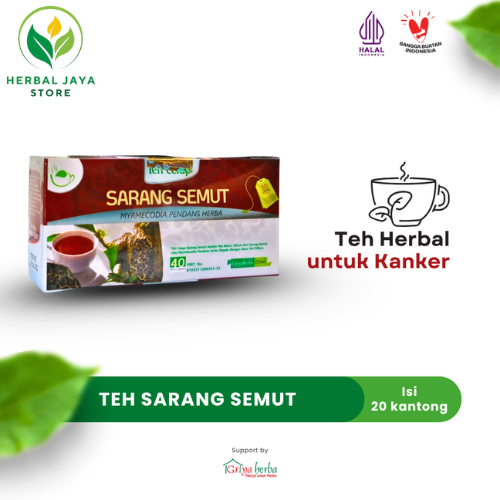 

Teh Sarang Semut Griya Herba Anti Kanker dan Obat Herbal BPOM 20 Kantung