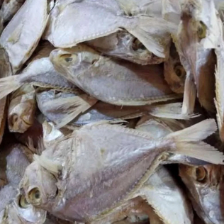 

Ikan asin pepetek 200gr | JBP_Fresh