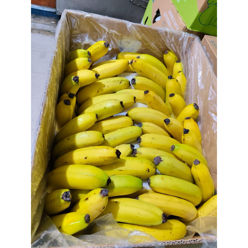 

Pisang Canvendish/ berat 1kg