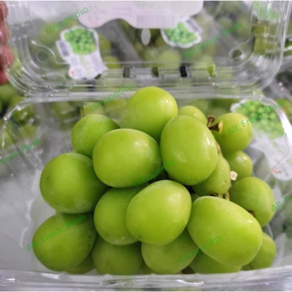 

kirim instan buah anggur hijau 500 gram