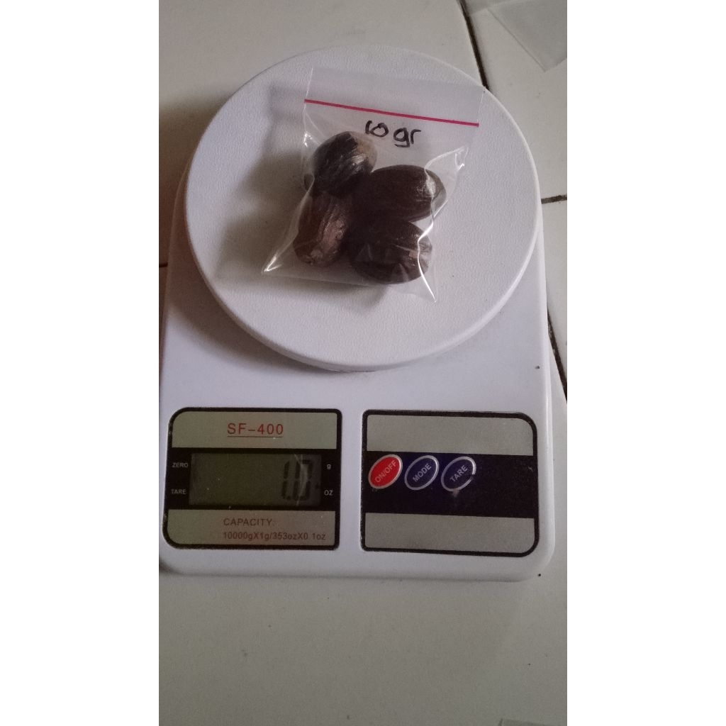 

Biji Pala asli Maluku 50 gram