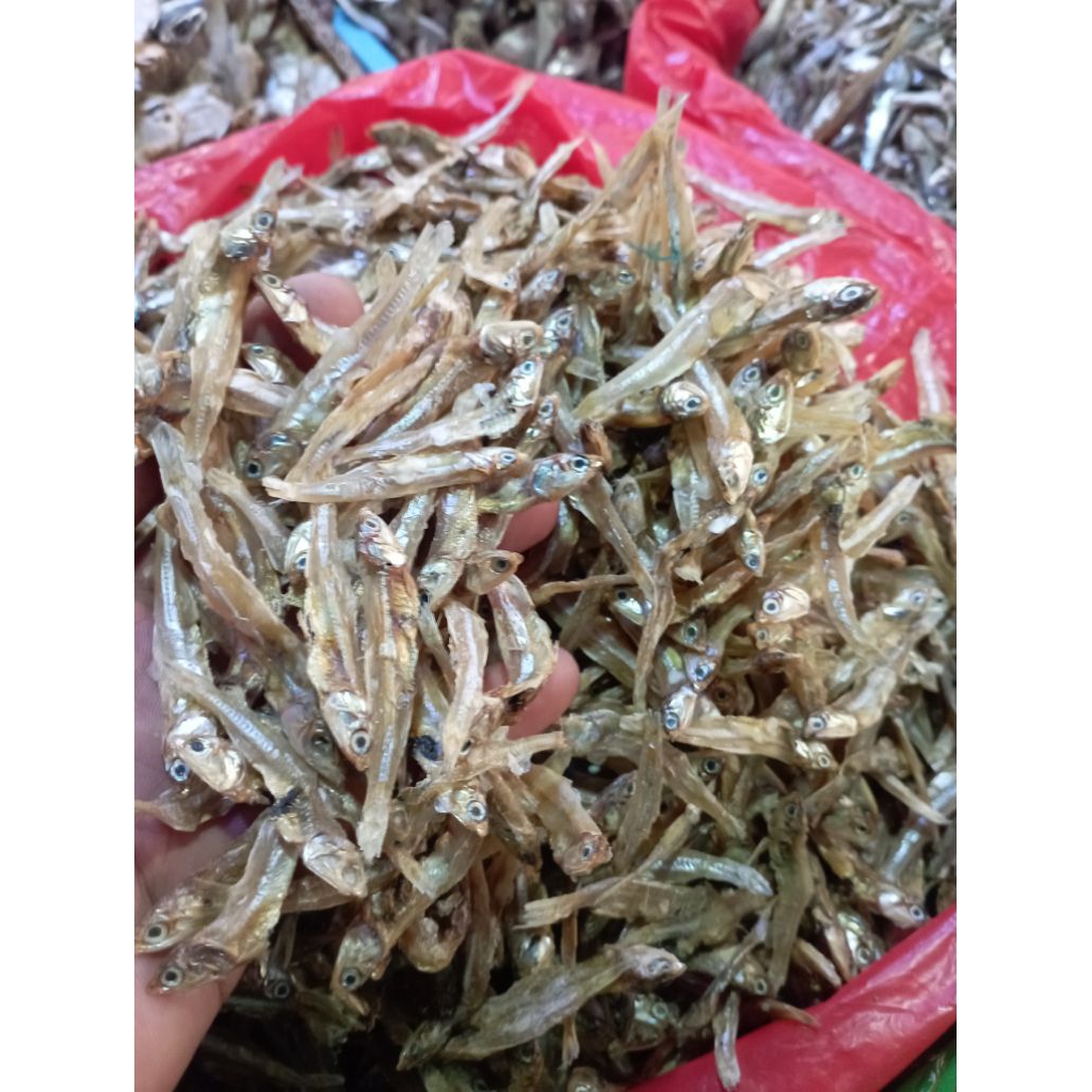 

teri tawar asli kriuk