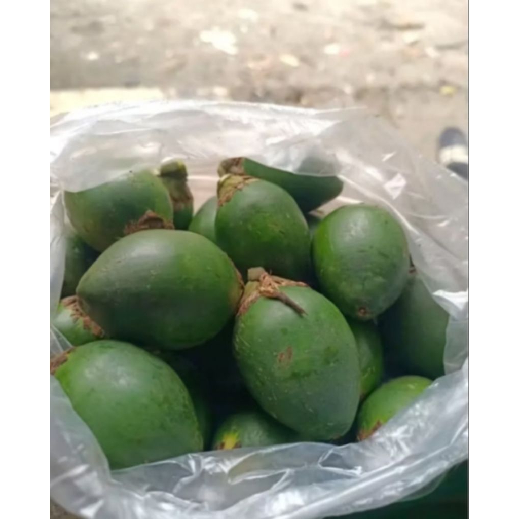 

buah piang muda 1kg/jambe muda pres petik langsung dari pohonnya