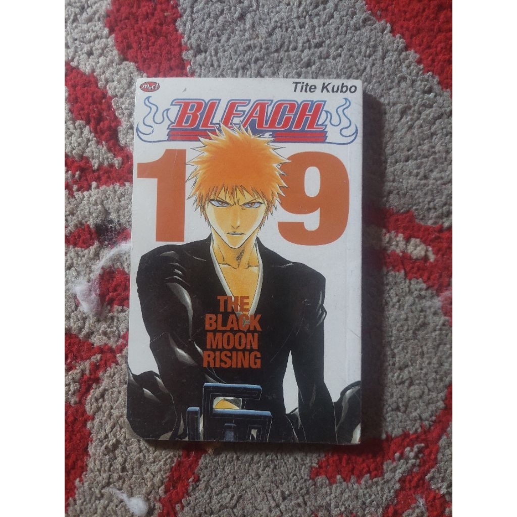 komik bleach vol 19