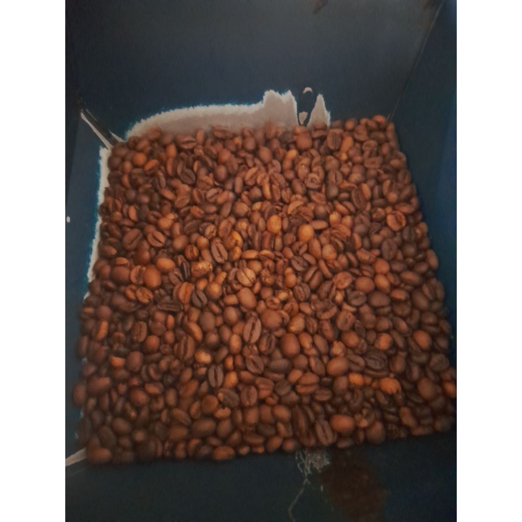 

Kopi bubuk Lanang LERENG GUNUNG PRAU 100% kopi murni 500gram