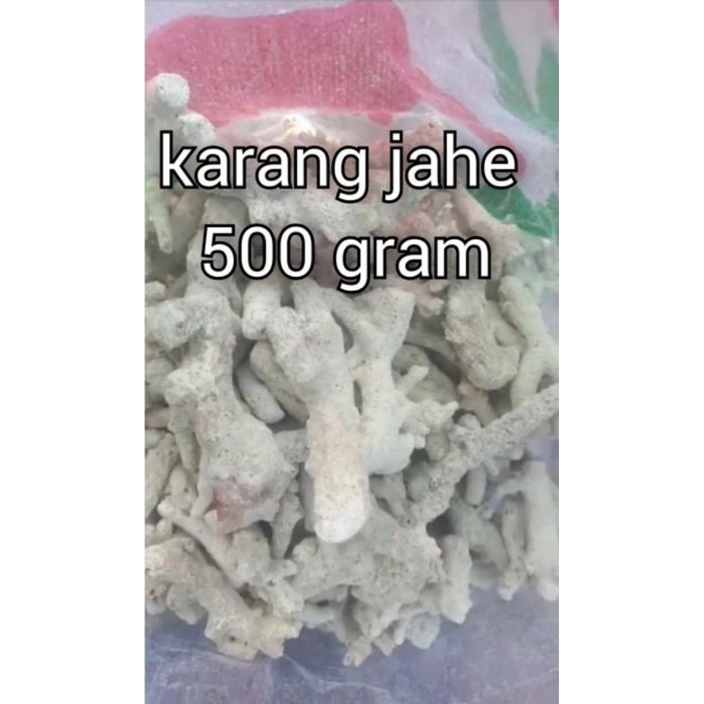Karang jahe 500 gram / karang
Bonus

jahe / batu karang / filter aquarium