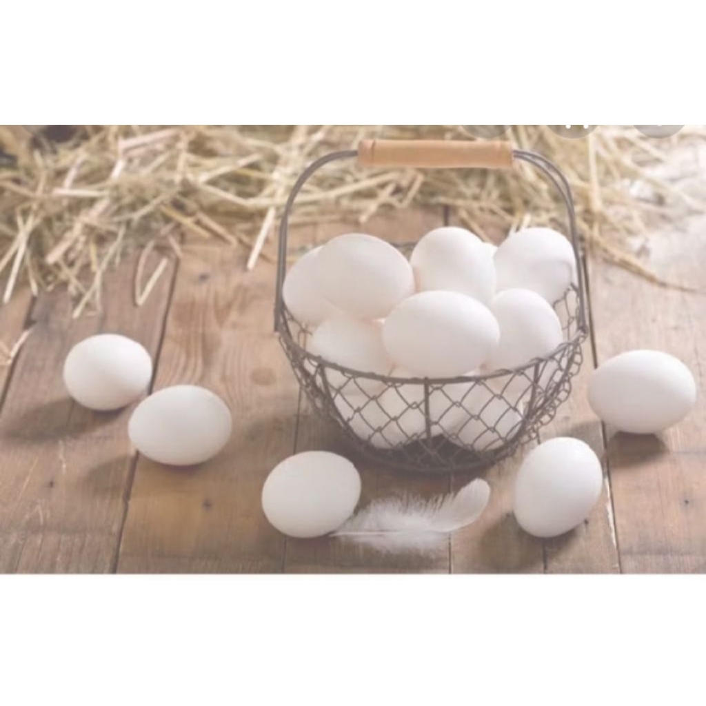 

Telur ayam Kampung mentah ( 1pack=10 pcs ) Kemasan mika