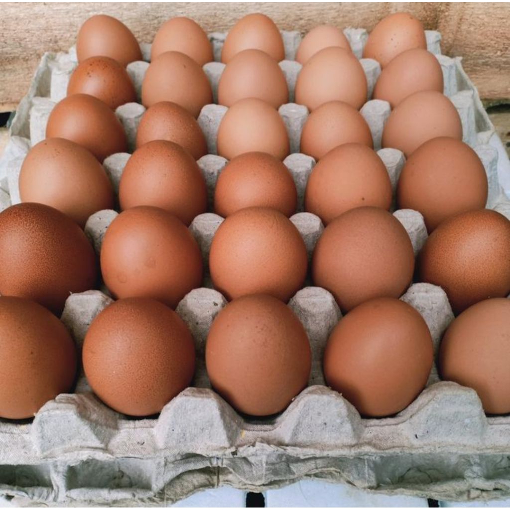 

Telur ayam negeri 30 pcs