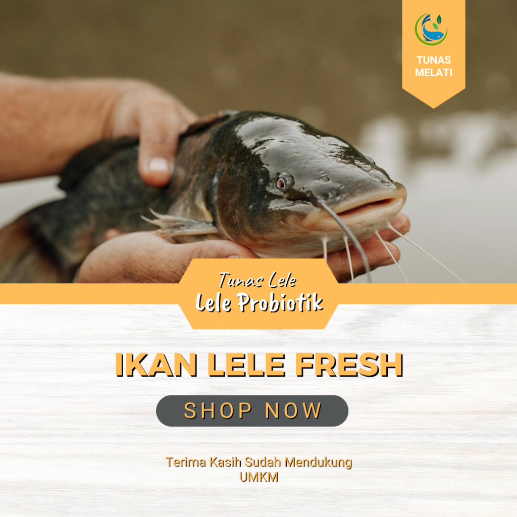

IkanLeleFreshProbiotik–LeleSegarTanpaBauLumpur, DagingKenyal&Bersih–500gr /1kg