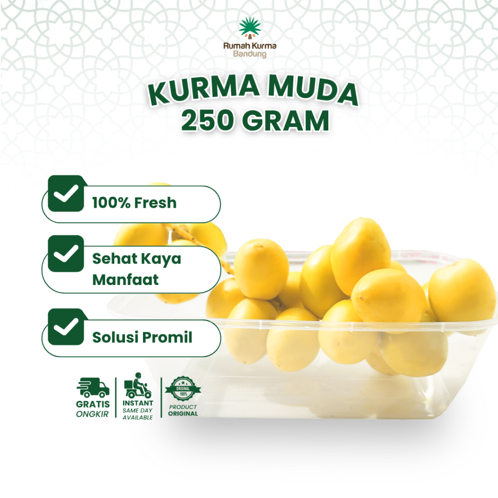 

Kurma Muda Barhi Kuning 250 Gram Segar Untuk Program Hamil Fresh Barhee