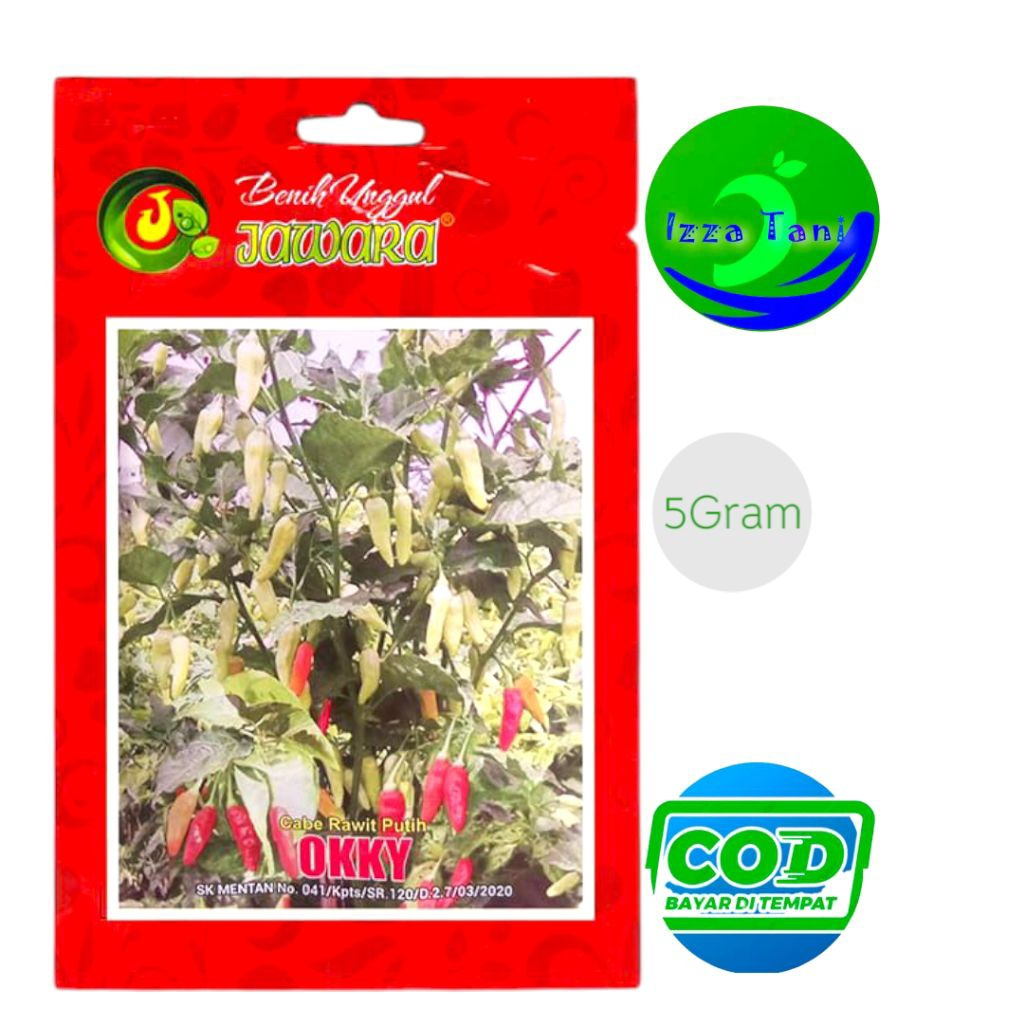 Benih Cabe Rawit Putih Okky Bibit Cabe Rawit