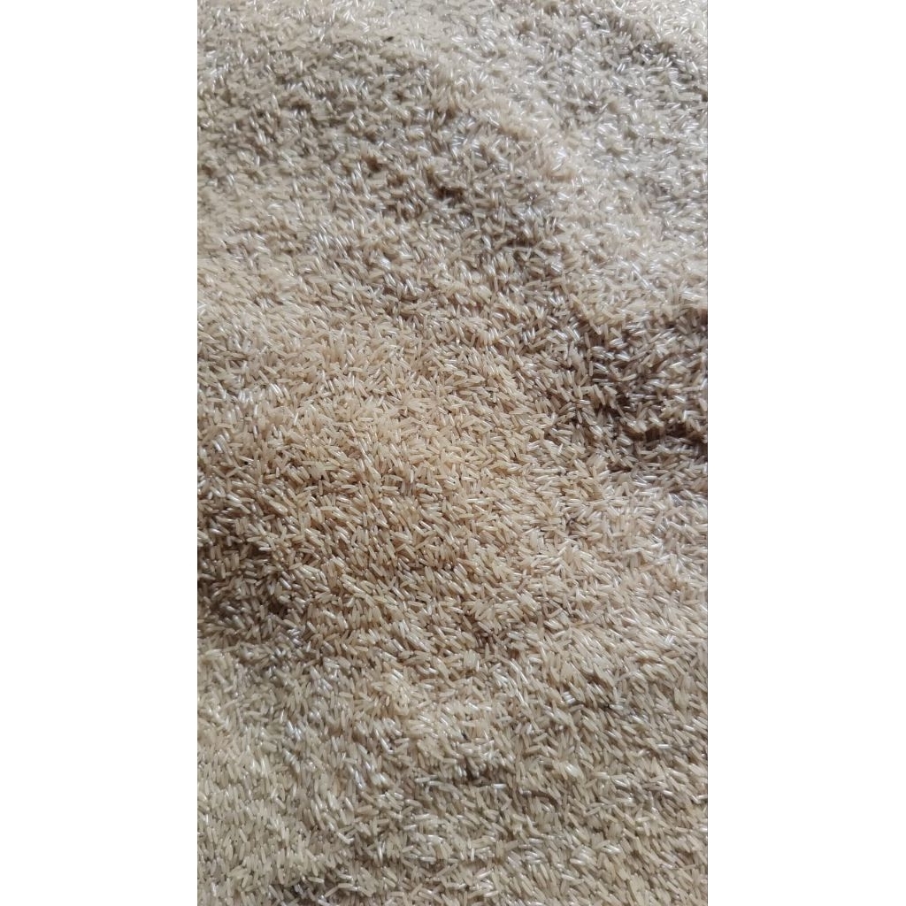 

telor jangkrik madu murni